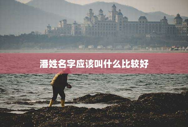 潘姓名字应该叫什么比较好