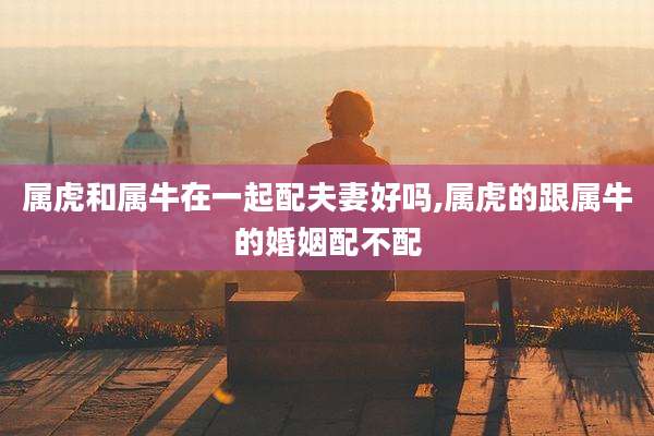 属虎和属牛在一起配夫妻好吗,属虎的跟属牛的婚姻配不配