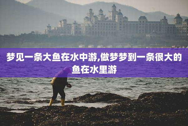 梦见一条大鱼在水中游,做梦梦到一条很大的鱼在水里游