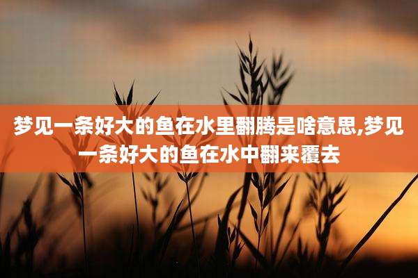梦见一条好大的鱼在水里翻腾是啥意思,梦见一条好大的鱼在水中翻来覆去