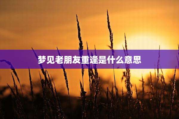 梦见老朋友重逢是什么意思