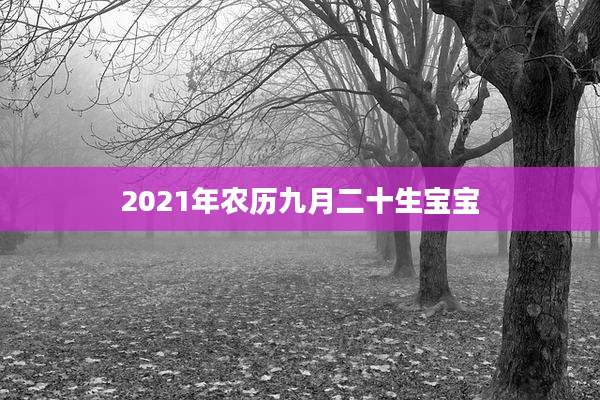 2021年农历九月二十生宝宝