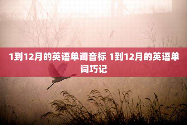 1到12月的英语单词音标 1到12月的英语单词巧记