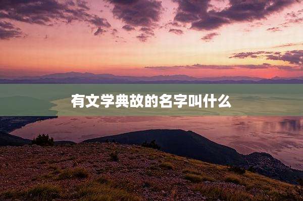有文学典故的名字叫什么