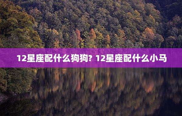 12星座配什么狗狗? 12星座配什么小马