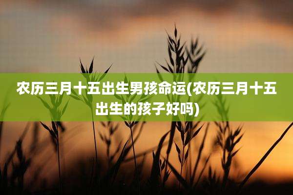农历三月十五出生男孩命运(农历三月十五出生的孩子好吗)