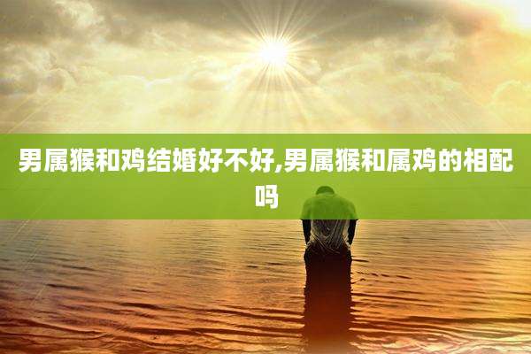男属猴和鸡结婚好不好,男属猴和属鸡的相配吗