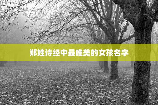 郑姓诗经中最唯美的女孩名字