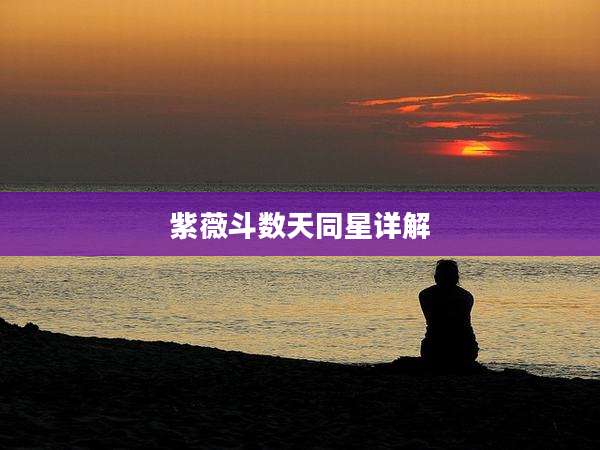紫薇斗数天同星详解