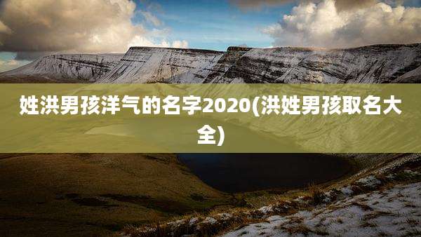 姓洪男孩洋气的名字2020(洪姓男孩取名大全)
