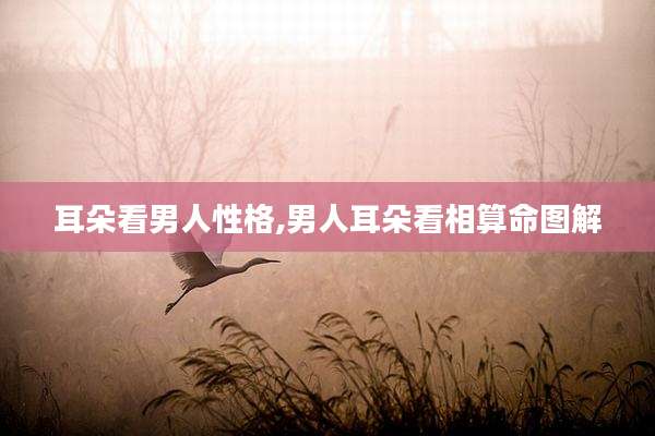 耳朵看男人性格,男人耳朵看相算命图解