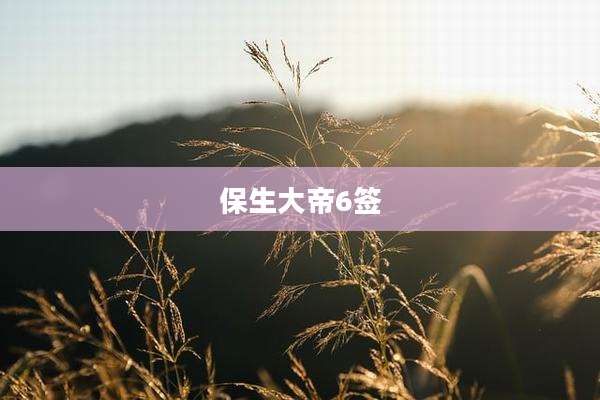 保生大帝6签