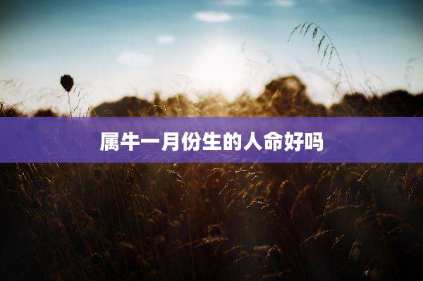 属牛一月份生的人命好吗