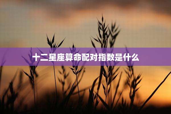 十二星座算命配对指数是什么