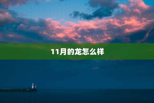 11月的龙怎么样