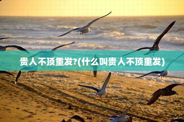 贵人不顶重发?(什么叫贵人不顶重发)