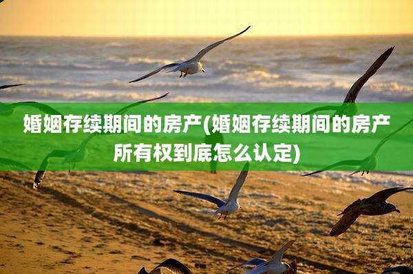 婚姻存续期间的房产(婚姻存续期间的房产所有权到底怎么认定)