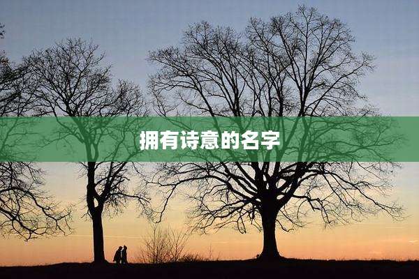 拥有诗意的名字