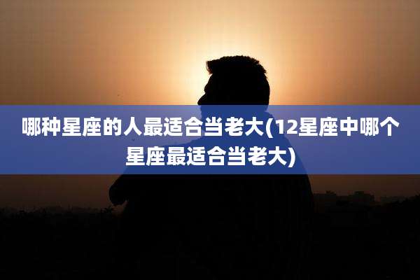 哪种星座的人最适合当老大(12星座中哪个星座最适合当老大)