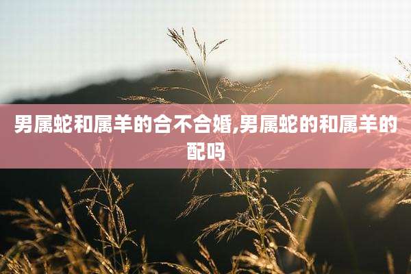 男属蛇和属羊的合不合婚,男属蛇的和属羊的配吗