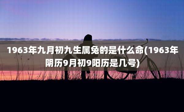 1963年九月初九生属兔的是什么命(1963年阴历9月初9阳历是几号)