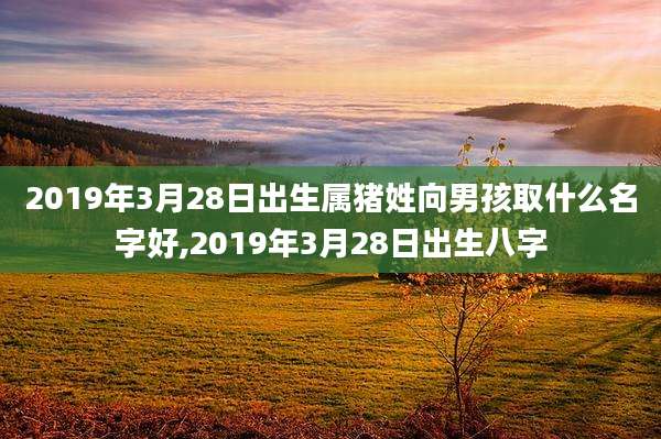 2019年3月28日出生属猪姓向男孩取什么名字好,2019年3月28日出生八字