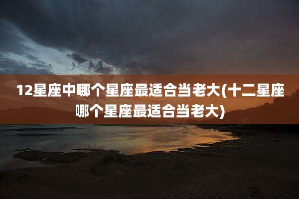 12星座中哪个星座最适合当老大(十二星座哪个星座最适合当老大)