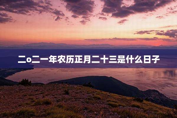 二o二一年农历正月二十三是什么日子