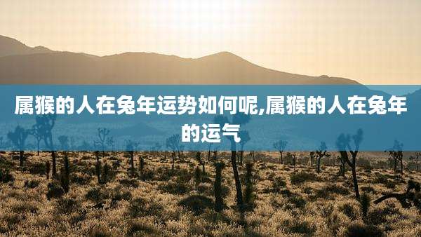 属猴的人在兔年运势如何呢,属猴的人在兔年的运气