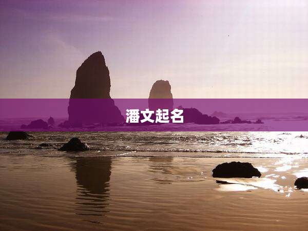 潘文起名
