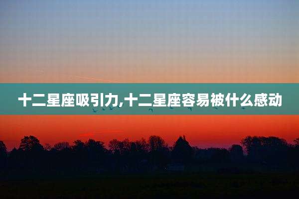 十二星座吸引力,十二星座容易被什么感动