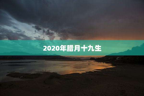 2020年腊月十九生