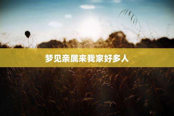 梦见亲属来我家好多人