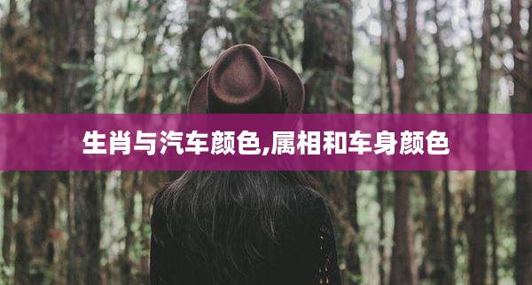 生肖与汽车颜色,属相和车身颜色