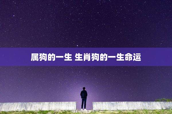 属狗的一生 生肖狗的一生命运