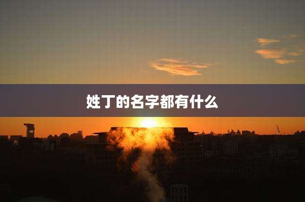 姓丁的名字都有什么