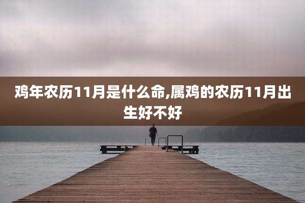 鸡年农历11月是什么命,属鸡的农历11月出生好不好
