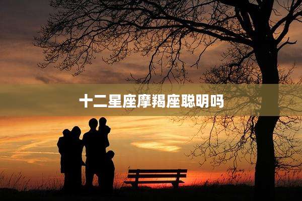 十二星座摩羯座聪明吗