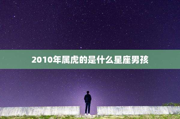 2010年属虎的是什么星座男孩