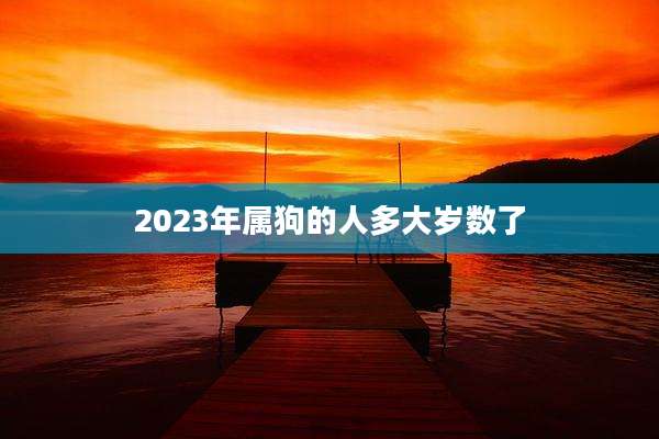 2023年属狗的人多大岁数了