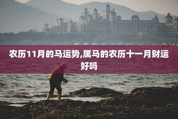 农历11月的马运势,属马的农历十一月财运好吗