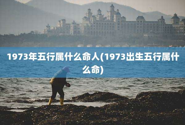1973年五行属什么命人(1973出生五行属什么命)