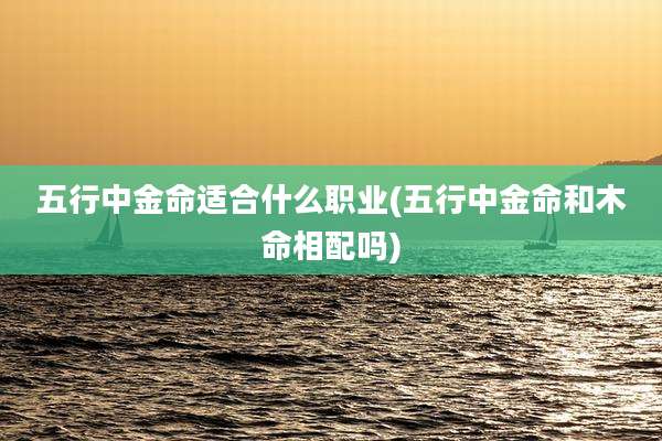 五行中金命适合什么职业(五行中金命和木命相配吗)