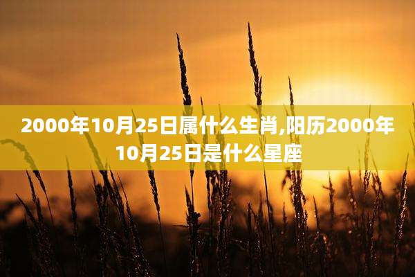 2000年10月25日属什么生肖,阳历2000年10月25日是什么星座