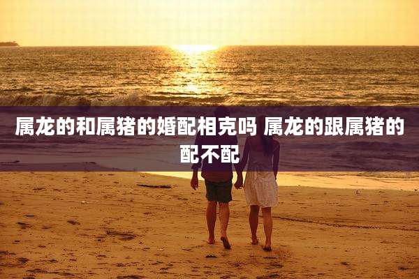 属龙的和属猪的婚配相克吗 属龙的跟属猪的配不配