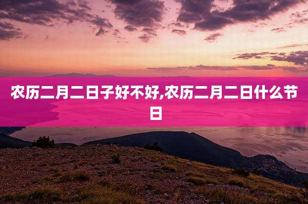 农历二月二日子好不好,农历二月二日什么节日