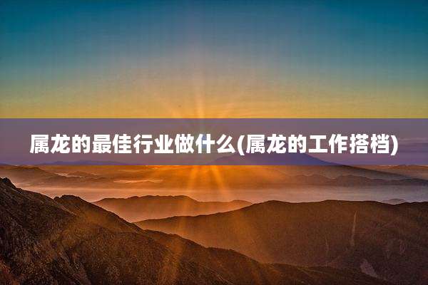 属龙的最佳行业做什么(属龙的工作搭档)