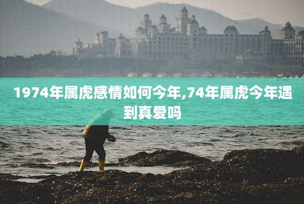 1974年属虎感情如何今年,74年属虎今年遇到真爱吗