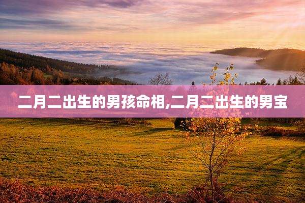 二月二出生的男孩命相,二月二出生的男宝