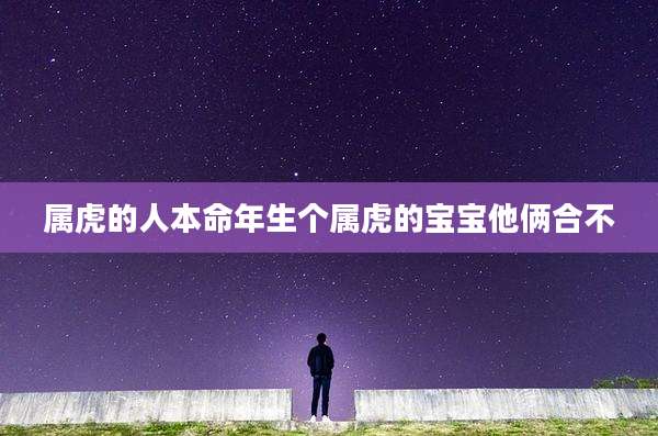 属虎的人本命年生个属虎的宝宝他俩合不